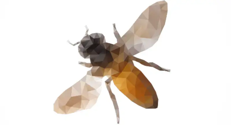 Cómo jugar Poly Roller: una guía para principiantes