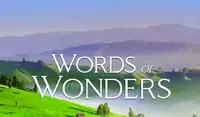 Words of Wonders